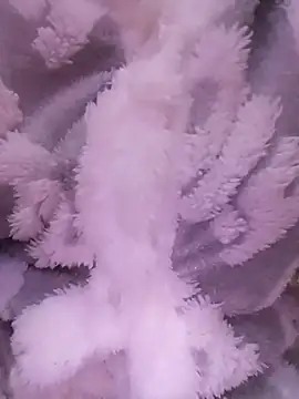 Rouzalinda_1's cam snapshot