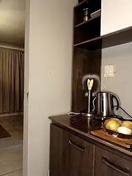 Zee-Thee-Gemini's cam snapshot