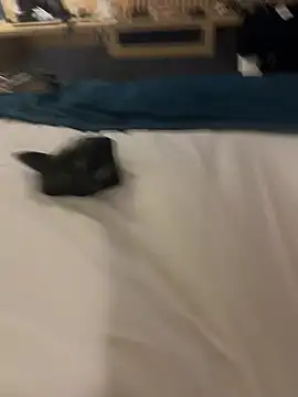 Misstakenhot live sex cam