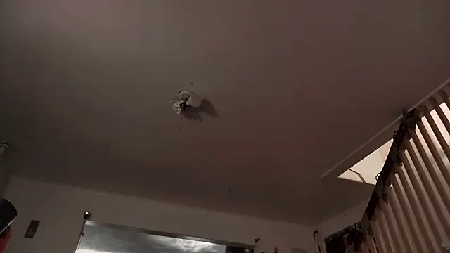 MasterDaddyCool's cam snapshot