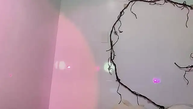 BeChinh_Lee's cam snapshot