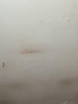 sexy-riya43's cam snapshot