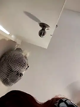 SpiderRose's cam snapshot