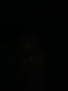 Alppo's cam snapshot