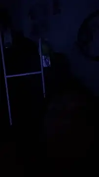 nick__69's cam snapshot