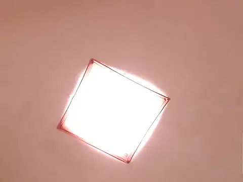 saara_johnson496's cam snapshot