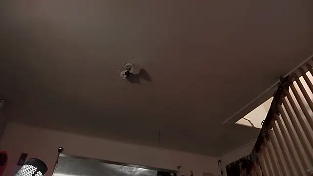 MasterDaddyCool's cam snapshot