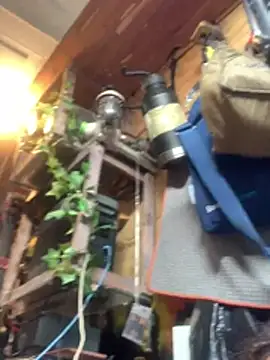 Likewise's cam snapshot