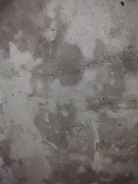 galaxy898's cam snapshot