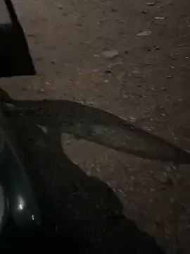 AlyssaFoxx_'s cam snapshot