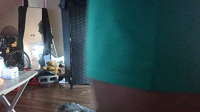 bigshh8's cam snapshot