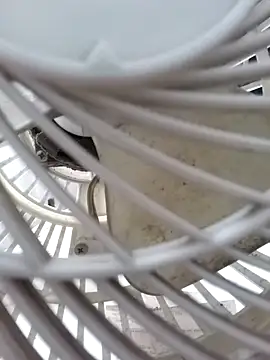 Alealm2408's cam snapshot