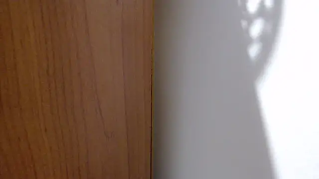 Pamela-StripX's cam snapshot