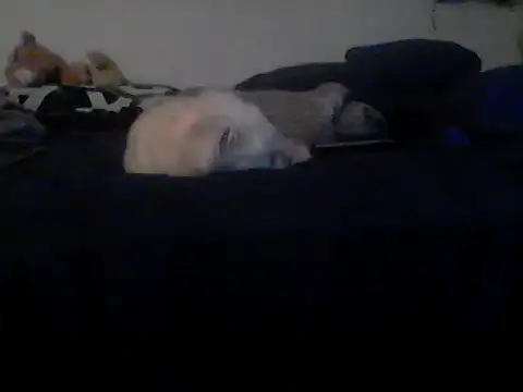 Silencio26 live sex cam