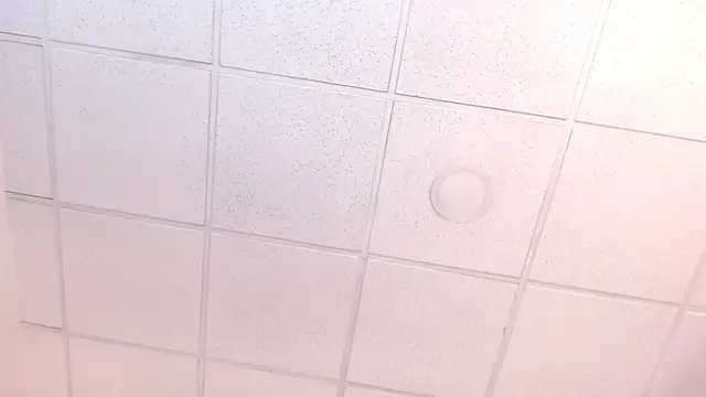 Ava_Raye's cam snapshot