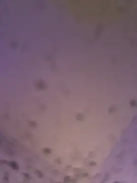 solomec's cam snapshot