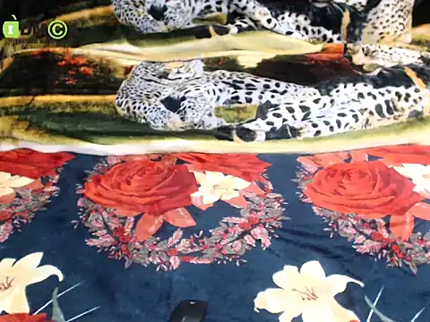 Queen_Sarah's cam snapshot