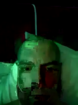 Robsonitj90's cam snapshot