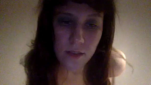 Palinchik's cam snapshot