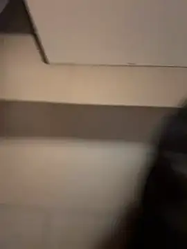 dani_bela's cam snapshot