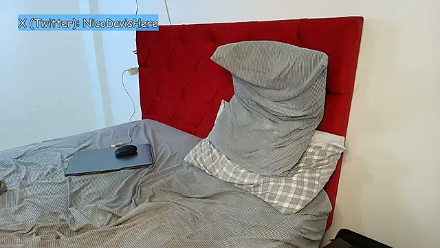 NicoDavisOfficial's cam snapshot
