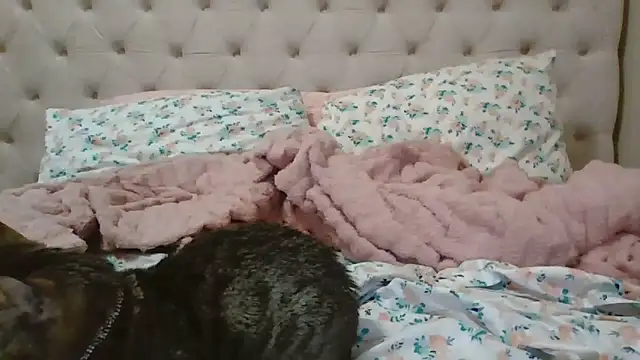 beautylovess's cam snapshot