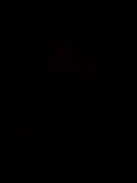 Kaylor4 live sex cam