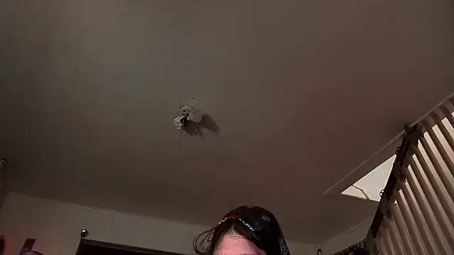 MasterDaddyCool's cam snapshot