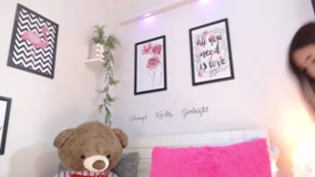 Joliet's cam snapshot