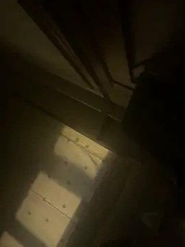 Callmedaddy9 live sex cam