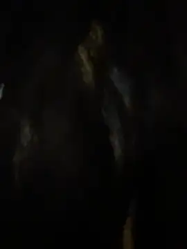 dani_bela live sex cam