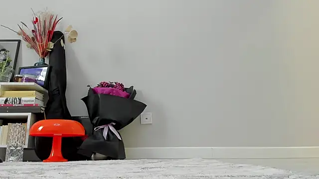 ailey_chao live sex cam