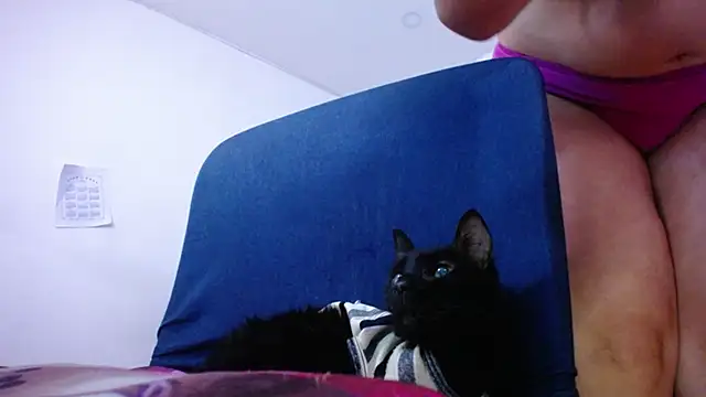 moritalatina live sex cam