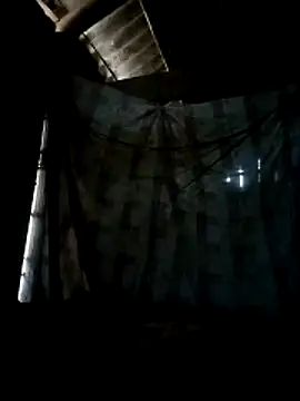 Hoanchaucachcach's cam snapshot