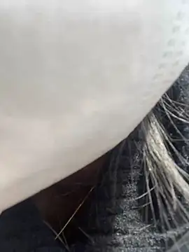 mi-ki1314's cam snapshot