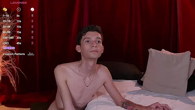 VicenteFerrer's cam snapshot