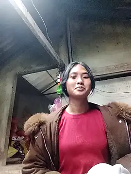 Hoa-tuylip's cam snapshot