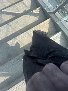 yimisun01's cam snapshot