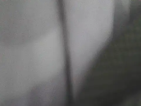 AlphaLatinoBear live sex cam