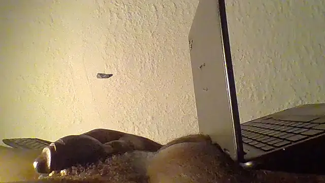 JezOne555 live sex cam