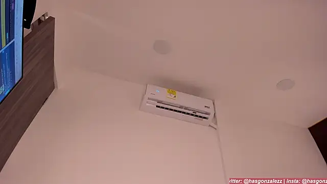 Has_gonzalez's cam snapshot