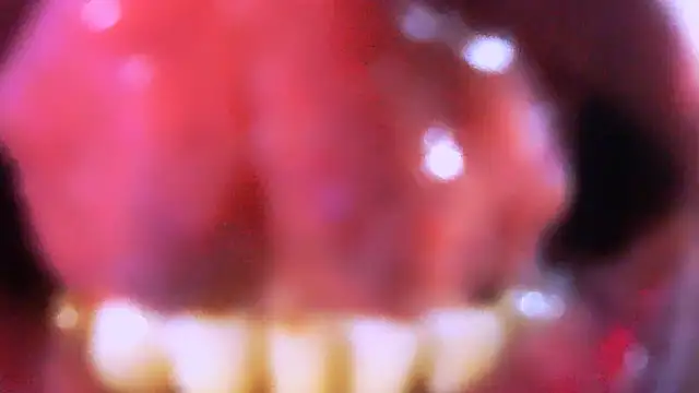 Lobaveterana_sex live sex cam