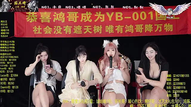 YB-001's cam snapshot