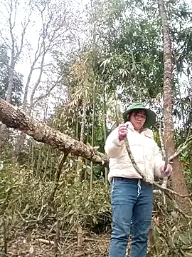 alycen's cam snapshot