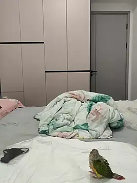 zzdd999 live sex cam