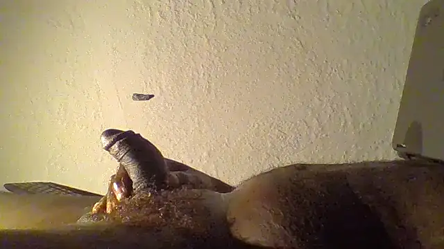 JezOne555 live sex cam