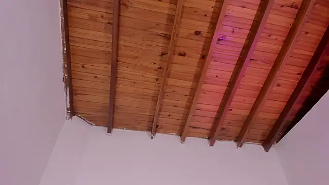 Hayley-Fox's cam snapshot