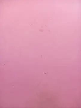 Sapna_baby1's cam snapshot