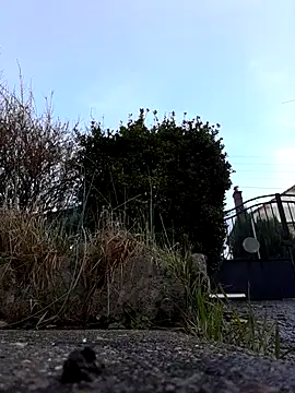 JonathanShadow's cam snapshot