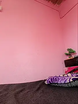 Jankisinghji's cam snapshot